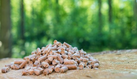 guide to biomass boilers