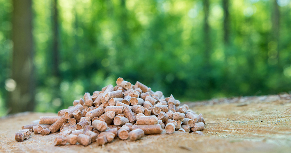 guide to biomass boilers