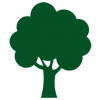 Greener Alturnative Biomass Green Greener Alturnative Biomass Green